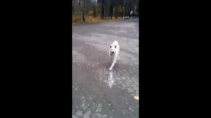 Разходка в парка