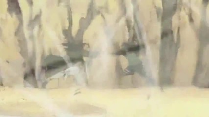 Naruto Amv - The War Rages On