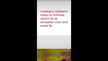 2024-11-06-130415826.mp4