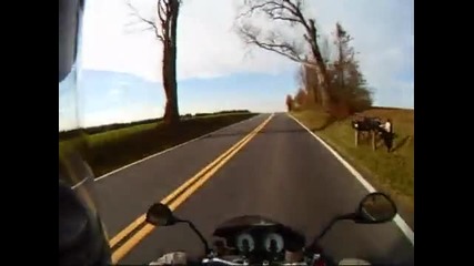 Ducati Monster S4rs on a Country Road