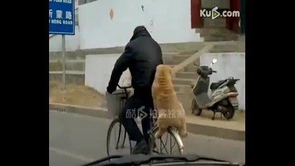 Колелата Са Били Правени И За Двама ( С М Я Х ) 