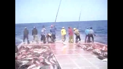 риба така се хваща хора какво ще кажете