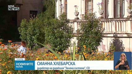 Започва възстановяването на парк „Врана“, близо 1000 дървета са определени като опасни