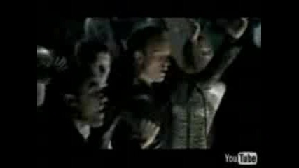 Sting - Desert Rose