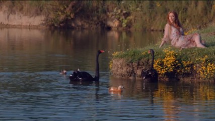 Neverne Bebe - Obala Bluza - official video