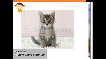 kitten...[za konkursa na cool cat] [2 - ro mqsto (party)]