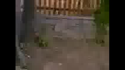 Видео000
