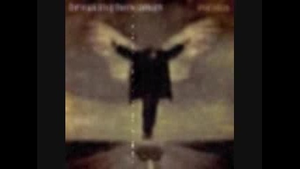 Breaking Benjamin - Until The End.flv