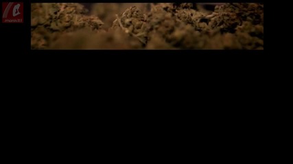 Twista feat. Lil Boosie - Fire 