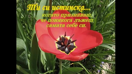Ти си... 