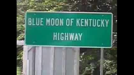 - Blue Moon Of Kentucky My Version.avi