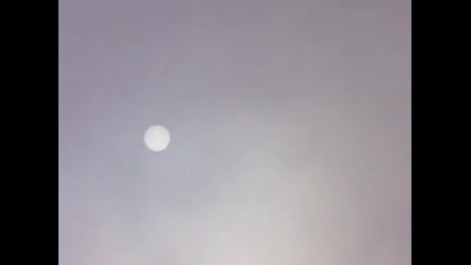 мъгла, Ракитника, май