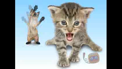 Kitties Singing Joy - Joy - Joy!
