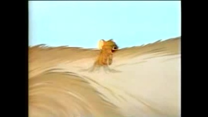 Tom And Jerry, Putting On The Dog