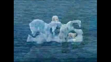 Polar Bears S.o.s. (милите)