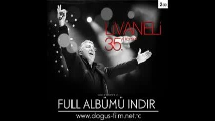 Husnu Senlendirici 2008