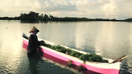 Omega and Тime for the Planet - Project on Tanakeke Island