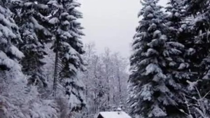 Winter - Symphony