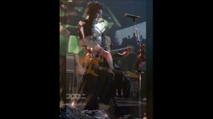 Limp Bizkit (wes Borland)