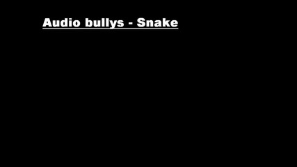 * audio bullys - snake *