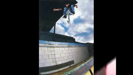 Ryan Sheckler - New Skater