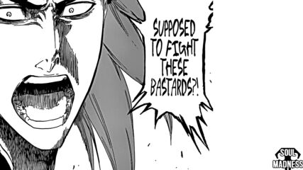 Bleach Manga 497