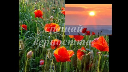 Алена нежност