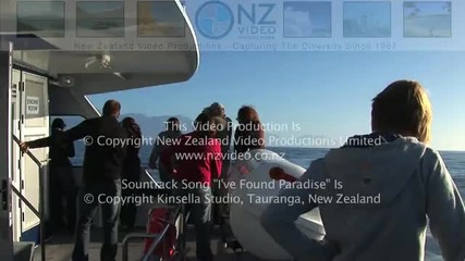Travel, Kiwi New Zealand 