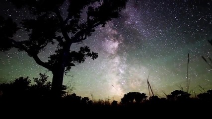 Chris Wonderful - With You Forever (music video)