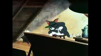 Tom And Jerry - Shutter Bugged Cat