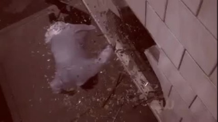 Smallville Season 9 (die Another Day) 