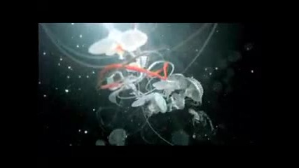 Bjork - Oceania [official video]
