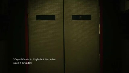 Wayne Wonder - Drop It Down Low