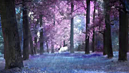 Magical Fantasy Music - Forest of the Unicorns Beautiful Relaxing Peaceful