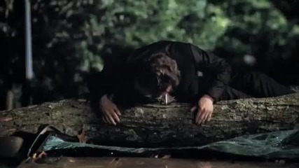 Allstate Car Insurance: Tree Branch Mayhem 