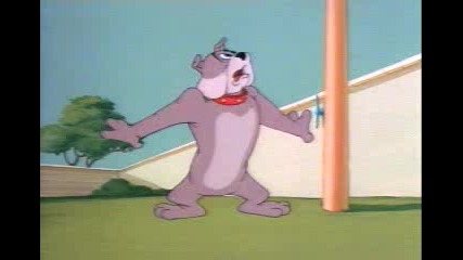 Tom And Jerry