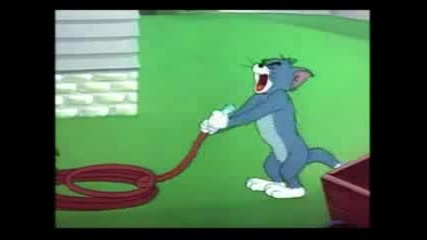 Tom and jerry (bg parody)