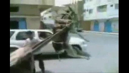 Смях с коне и едно магаре ;d
