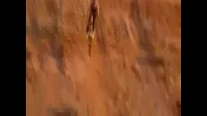 Best of Downhill and Freeride