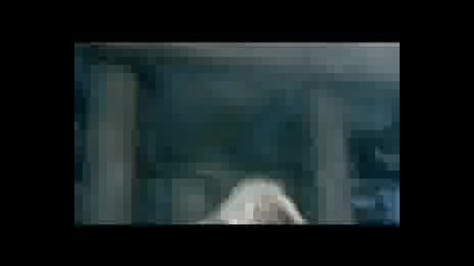 Children Of Bodom - In Your Face