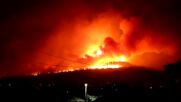 ЕС изпраща още техника и огнеборци в Гърция заради горските пожари