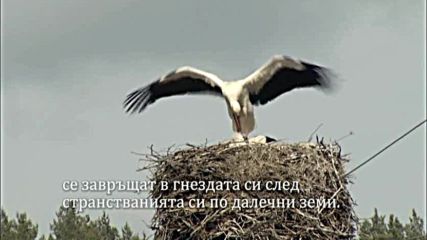 Travel TV - На пролет с програмата на Travel TV/ Watch us: