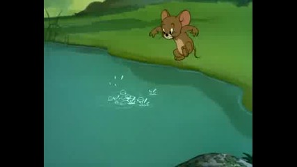 Tom & Jerry - Just Ducky