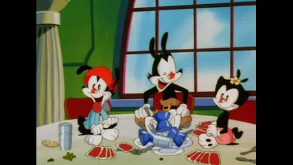 Animaniacs 05 - Taming Of The Screwy 