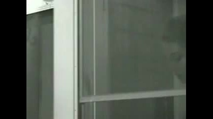 Everlast - White Trash Beautiful /high Quality/