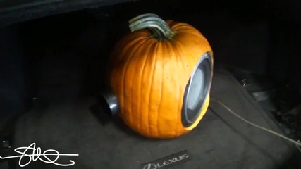 Басс от тиква :d - 8 Woofer! - Happy Halloween! (2011)