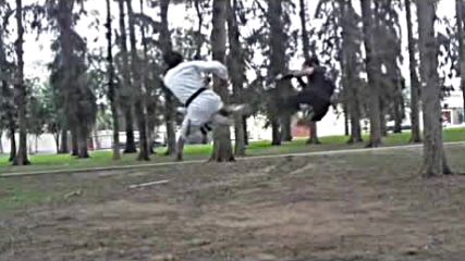 Street Figther Ninja Vs Taekwondo Film Yonetmen Dovus Stilari Kungfu Sanati 2016 Hd