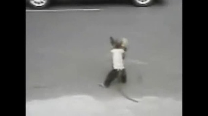 маймуна моторист