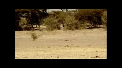 Top Gear - Африка Част 5 От 8
