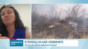 Кой спасява дивите животни от природните бедствия